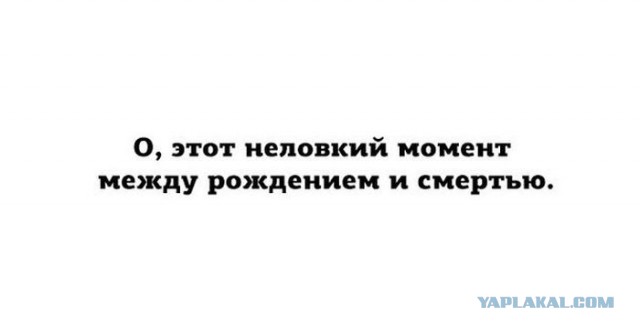Подзатыльник любви