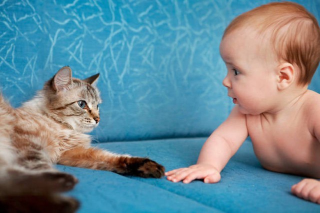 Картинки из сети (07.04.16)