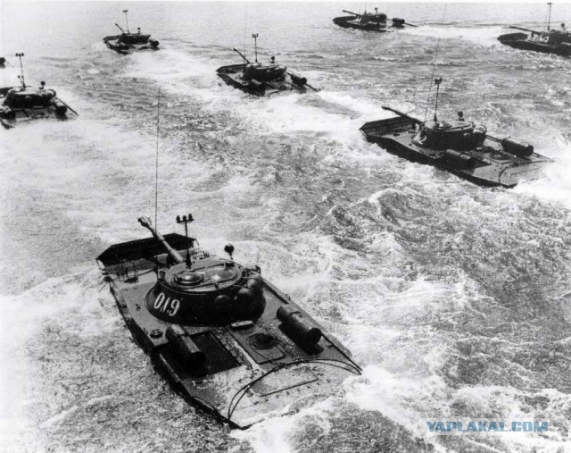 Подборка интересных и прикольных фото