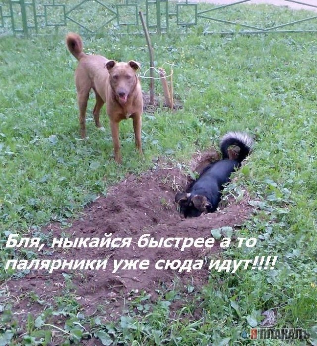 Фотожаба: да здесь где-то недалеко!