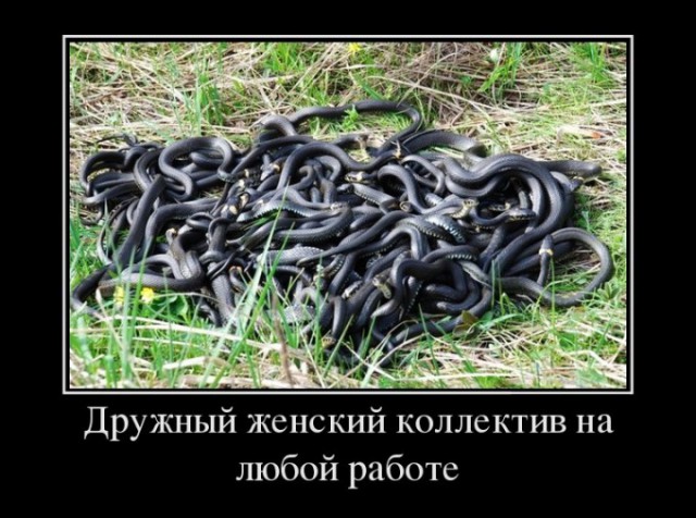 Денежные сборы на работе