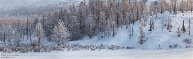 На краю света: жизнь коренного народа российского Севера