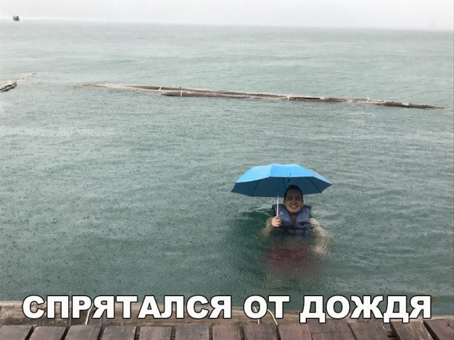150 картинки для поднятия настроения!