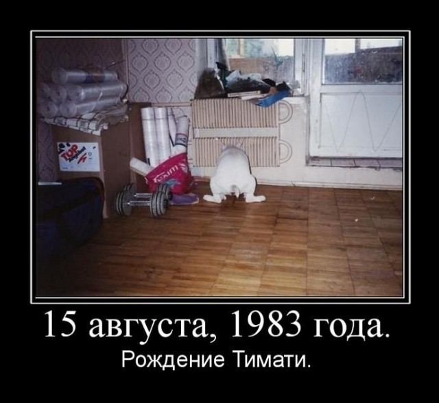 Веселый тренер