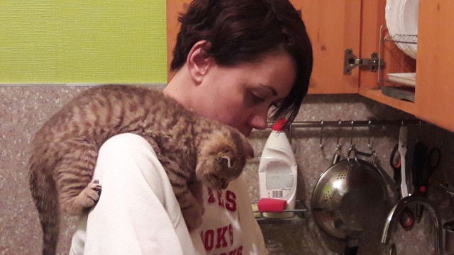 Котовторник 9.01.2018