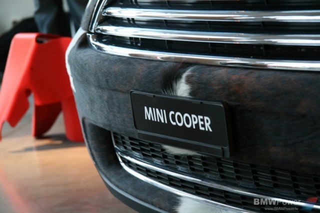 Mini Cooper The Pet