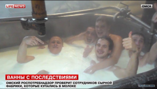 Как я работал на молокозаводе и что из этого вышло.