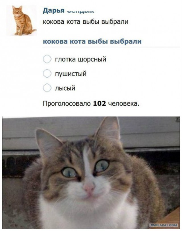 10 слов, которые созданы для того, чтобы путать в них «е» и «и»