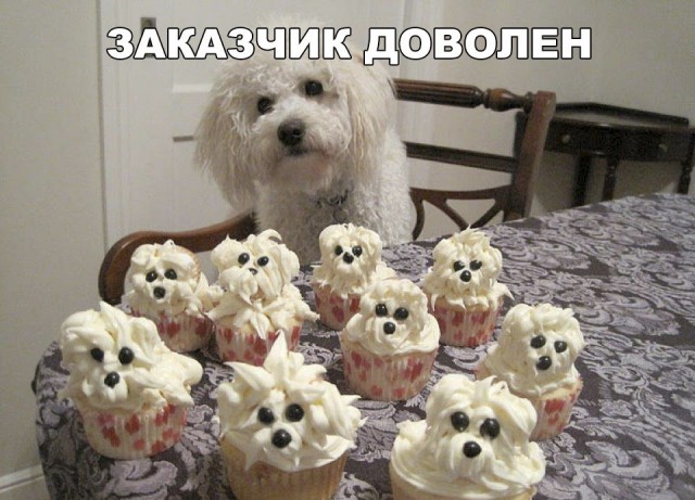 Нестандартный юмор