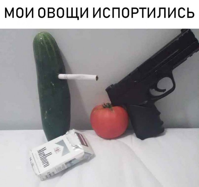 Немного картинок в эту среду