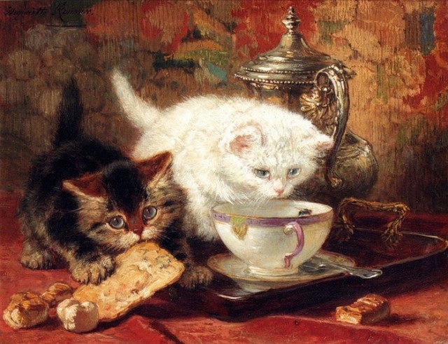 Котовторник