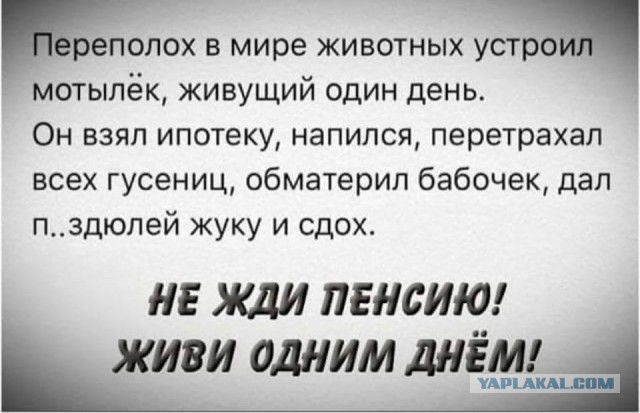 Прикольные картинки абавсём