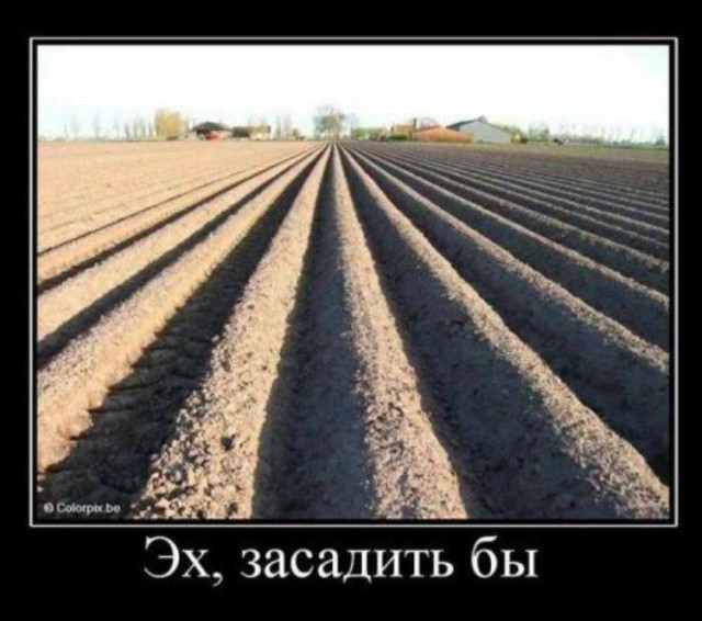 Картинки в черных рамках с подписями