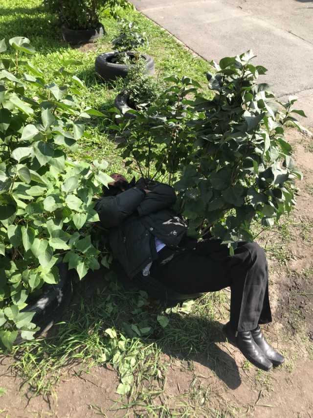Скотсети и прочие интернеты 05.04.19