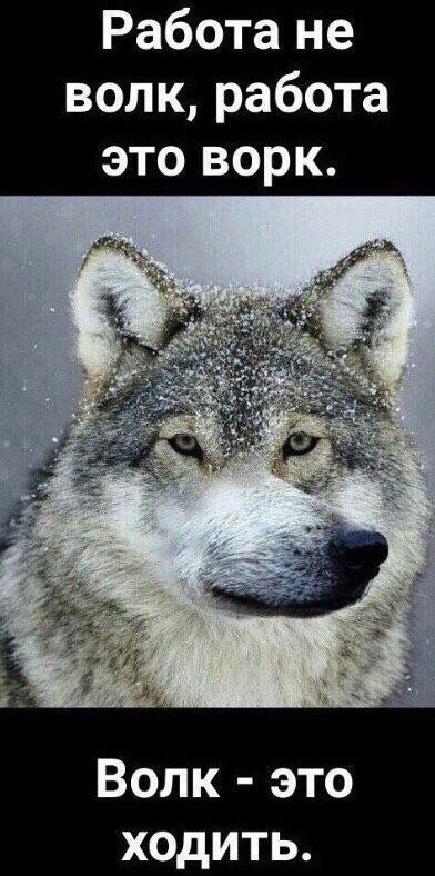 Немного картинок на вечер