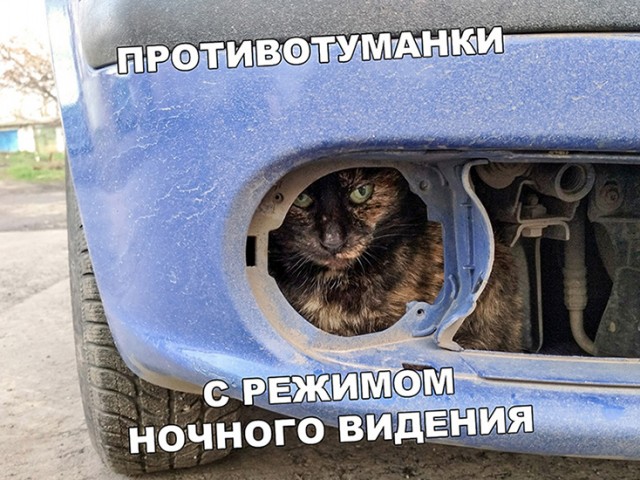 Картинки разные и не очень v2,0