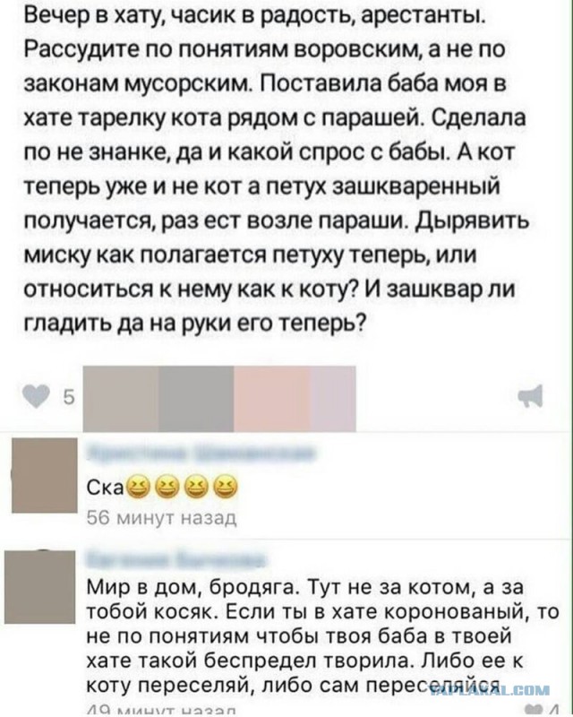 Потерялся кот! Приметы: весь в крестах и куполах