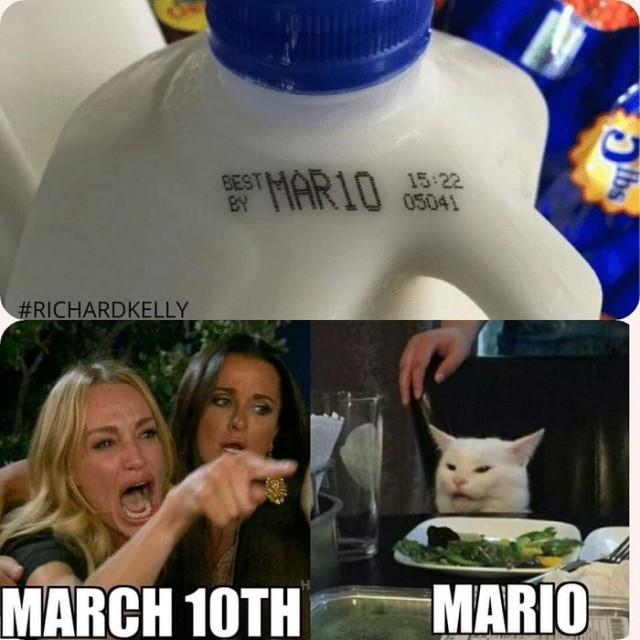 Мем: Две женщины орут на озадаченного кота за столом