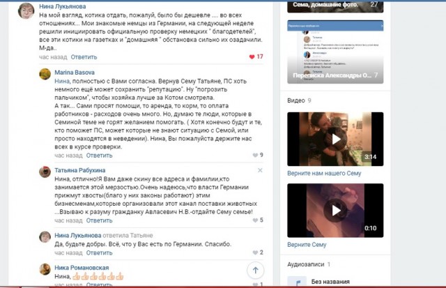 Помогите вернуть кота! Приют "Преданное сердце" украл кота и не отдает!-2