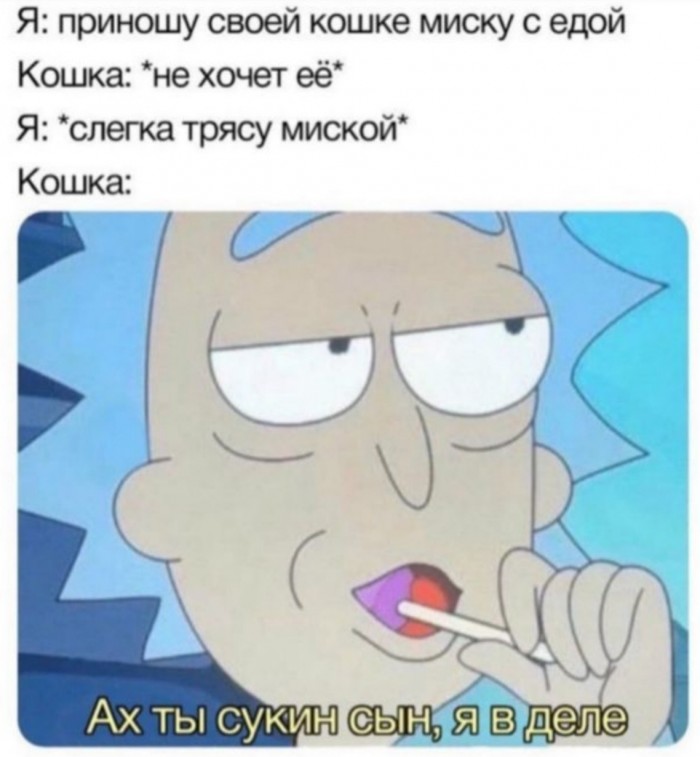 Поезд дальше не идёт