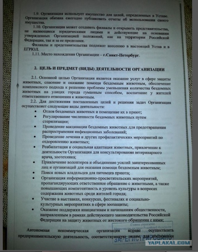 Помогите вернуть кота! Приют "Преданное сердце" украл кота и не отдает!-2