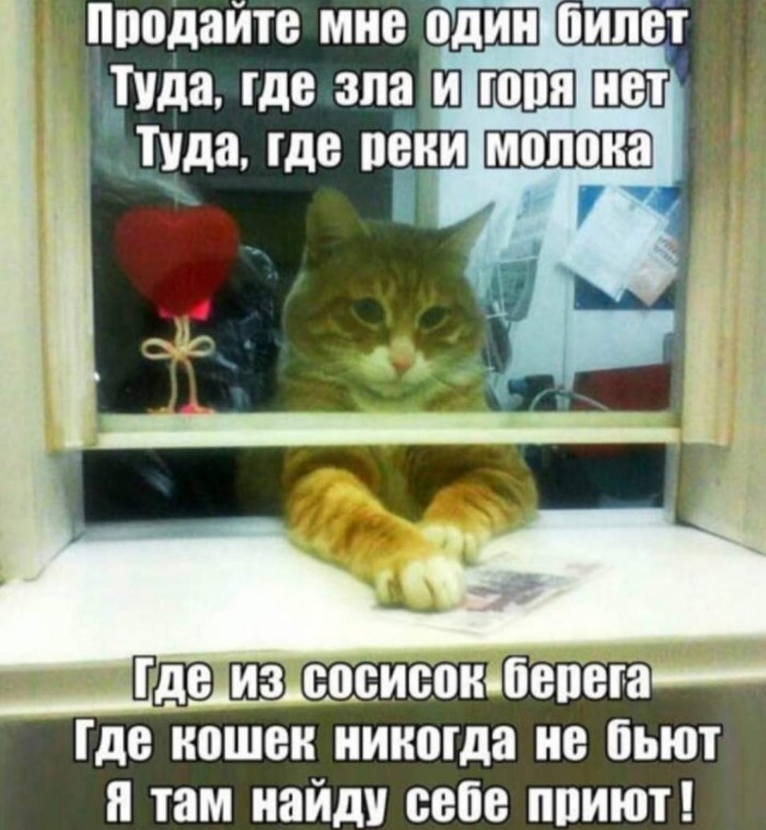Бредзона 05.01.20