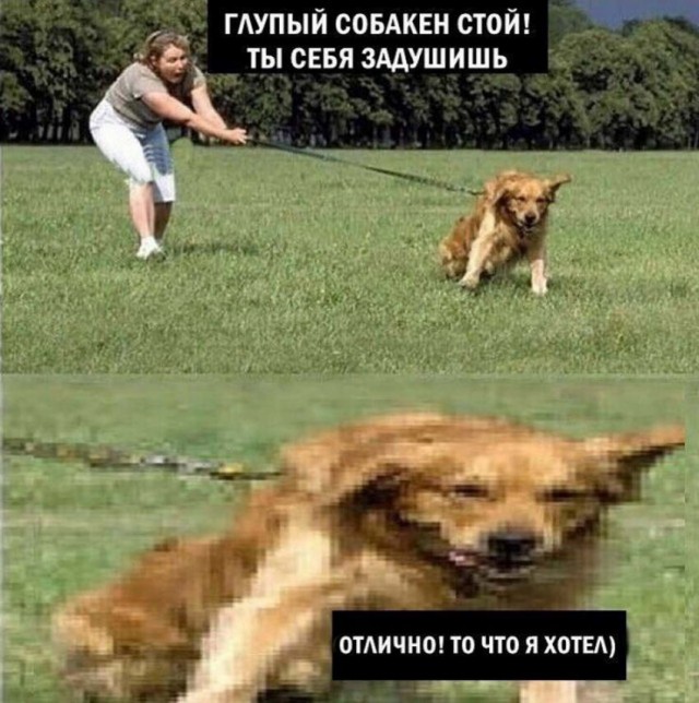 Праздничная чернь