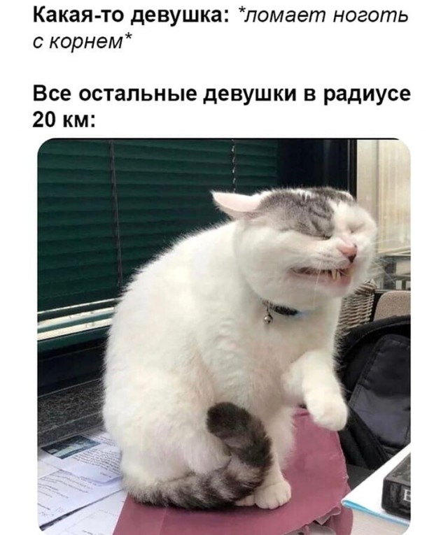 Немного картинок для настроения 29.05.20