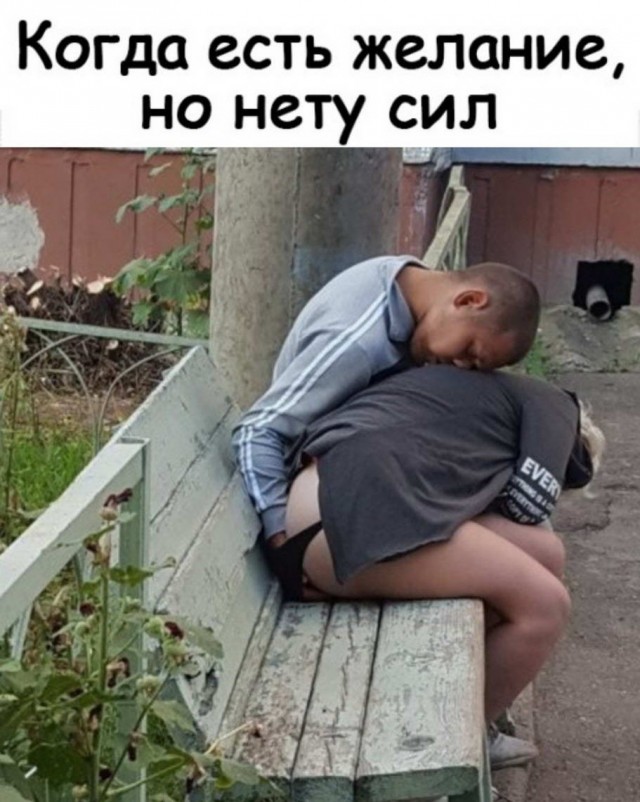 Юмор в картинках