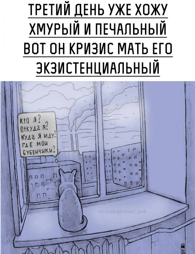 Свинегрет: картинки, надписи и прочее на 31.07 или №28