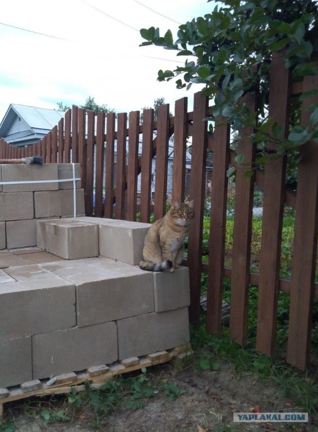 Моя красотка