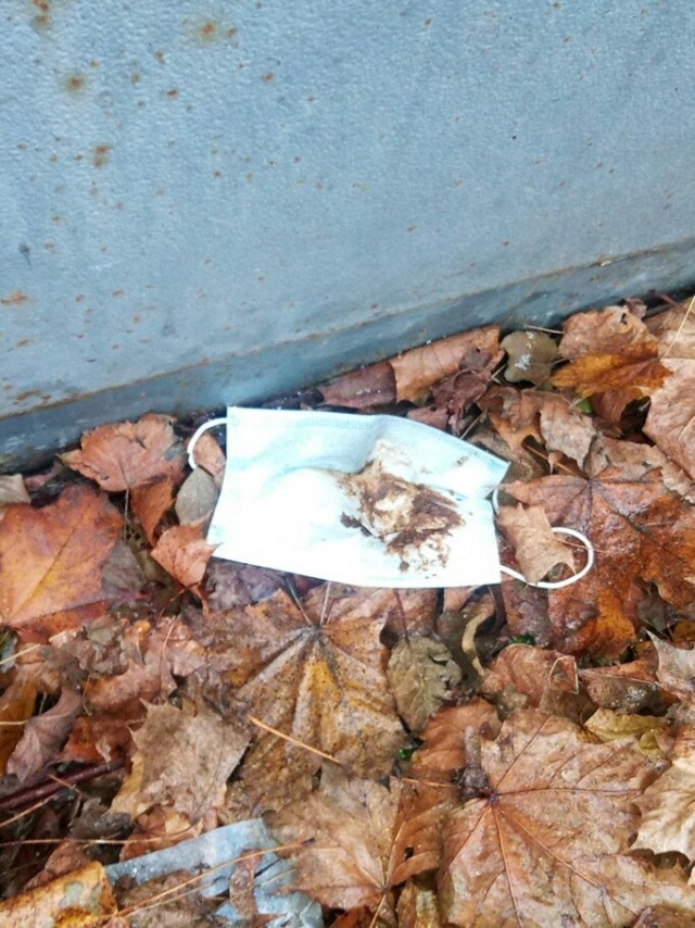 Наследие короны