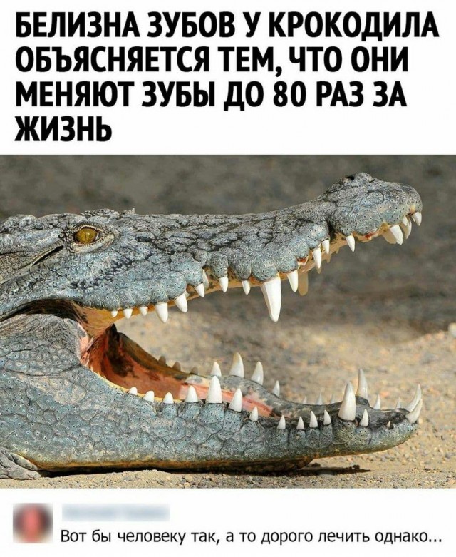 Фу, пошлятина одна