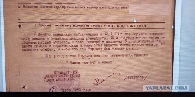 9-я пластунская Краснодарская Краснознаменная горнострелковая дивизия. Как казаки воевали с гитлеровцами.