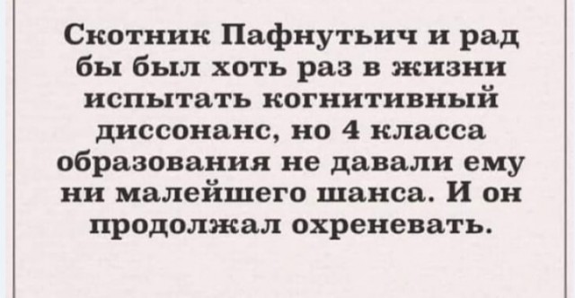 Картинки и мемы для настроения 017