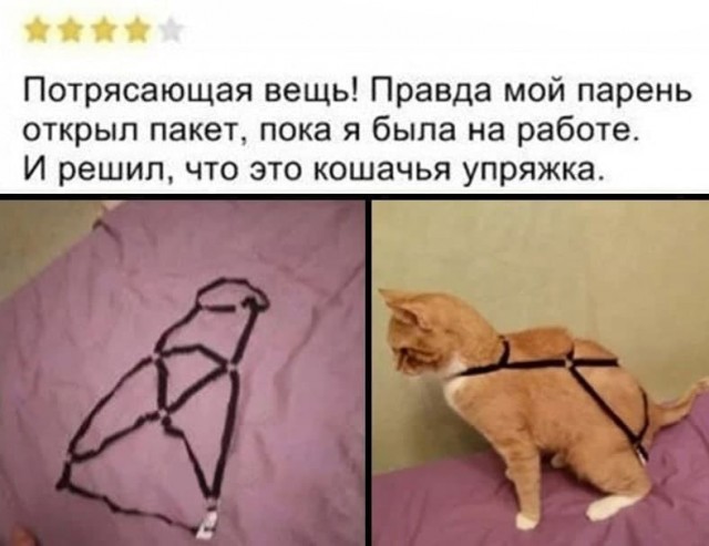 Аморальная деградация