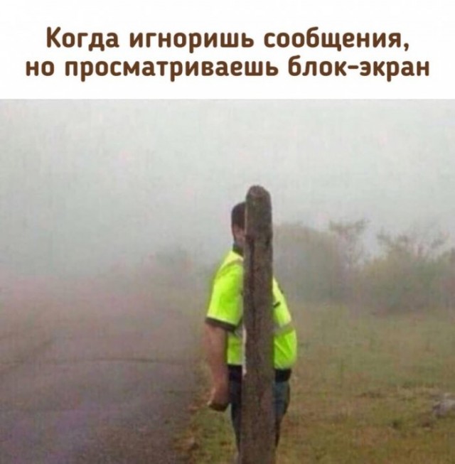 Картинки и мемы для настроения 024