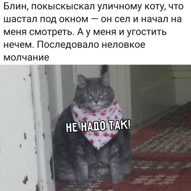 Весёлый полтишок 16.07