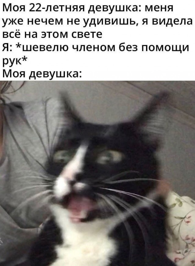 Мемасы (Пошлятина в основном)