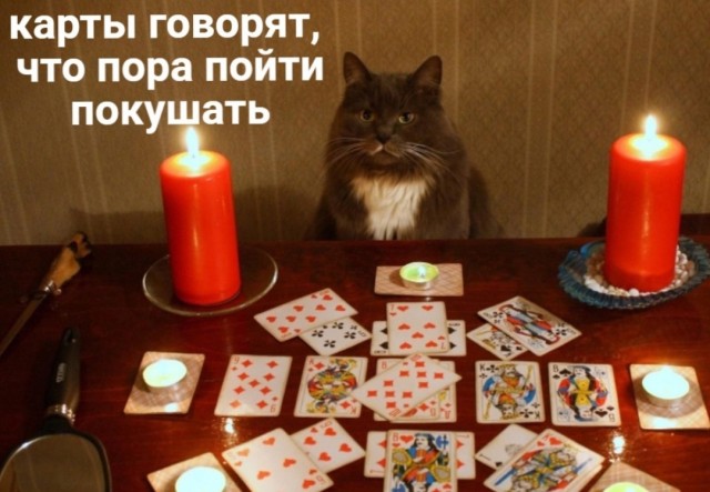 Чуток картинок 19.12.21