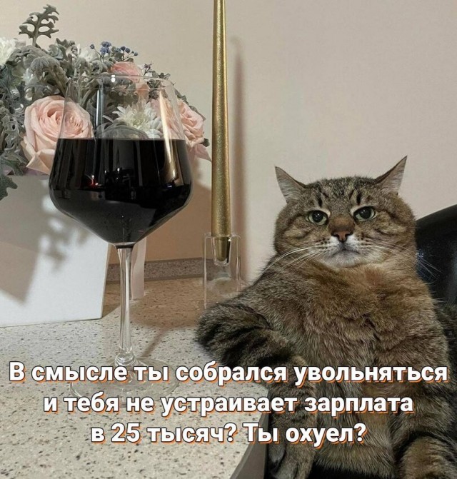 Всякой Хни вам в ленту, дорогие деграданты...