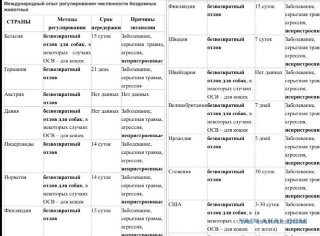 Почему, несмотря на гибель людей от бродячих собак, в России не введут эвтаназию животных?