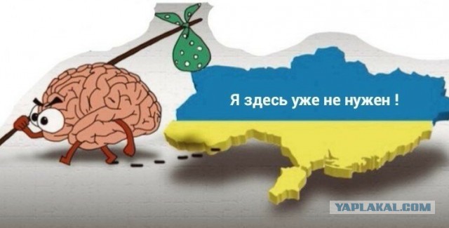 Российские дипломаты начали покидать Украину, сообщил источник