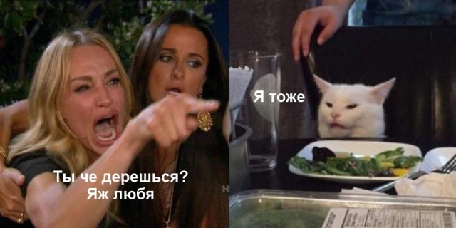 Поцеловала котика