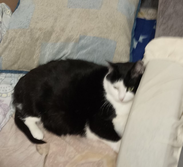 Котовторниковское