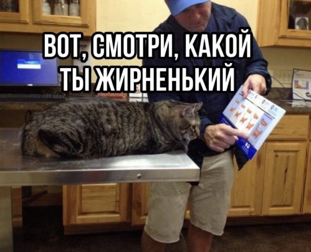 Так себе картинки 04.04.22