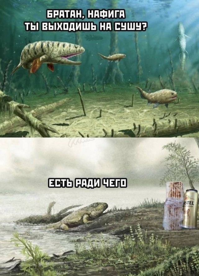 Деградация на Четверг