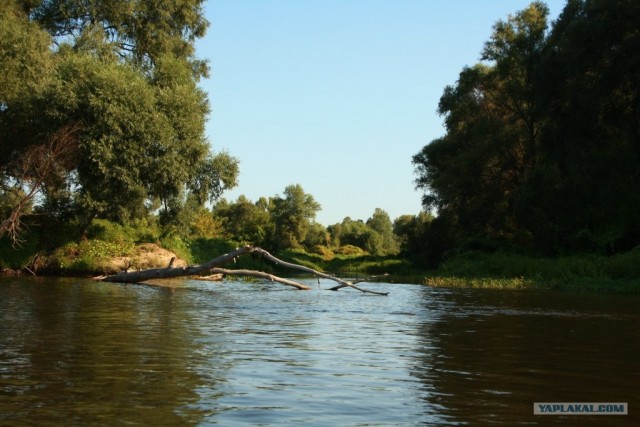 Сплав по Десне, сентябрь 2011