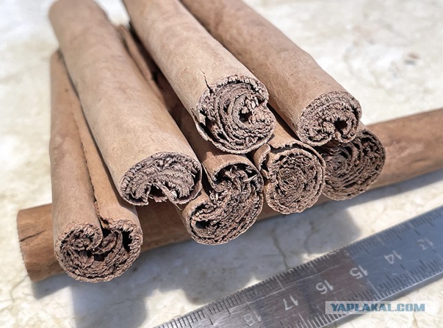 #ДРЯПнем 2022! БАХАРАТ.