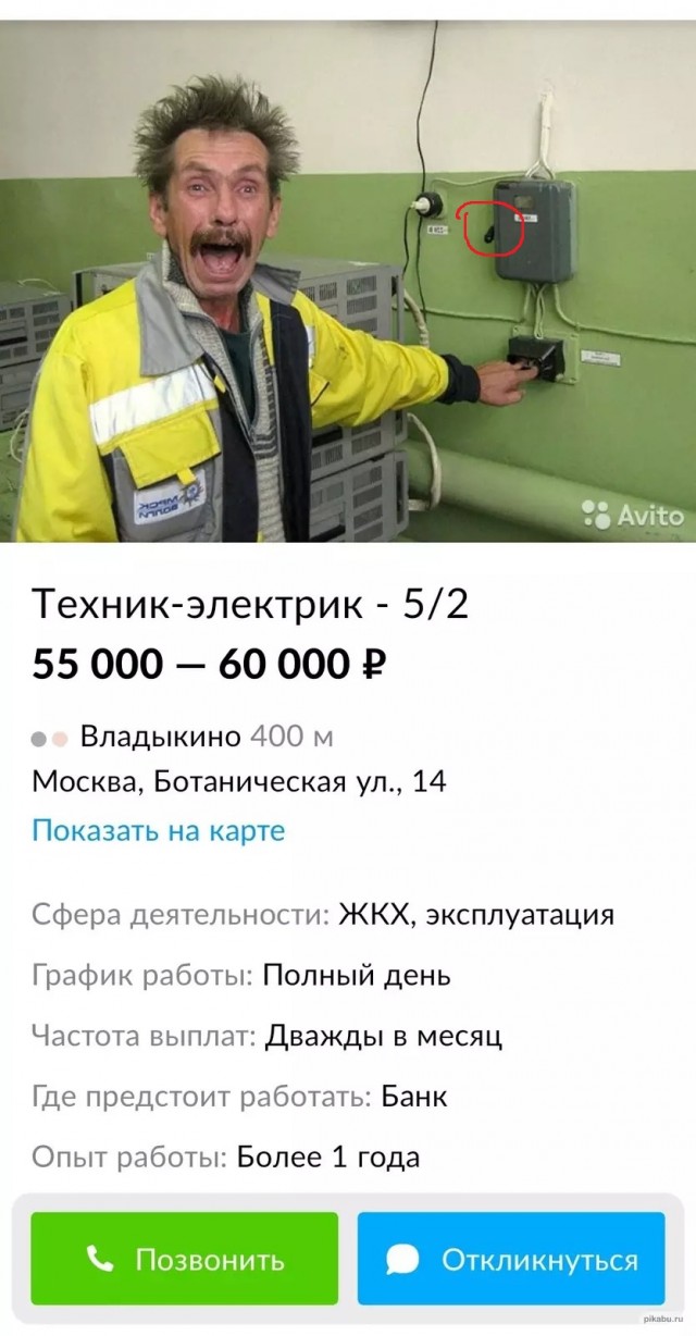10+ объявлений с известного ресурса, которые опубликовали люди с отличным чувством юмора